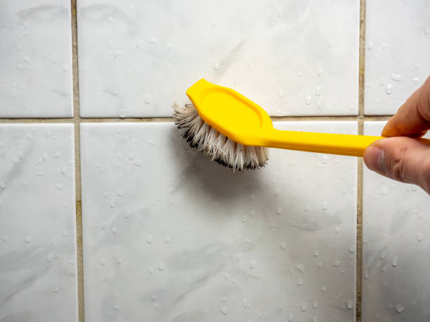 Best Commercial Mold Removal  in Mcclure, PA
