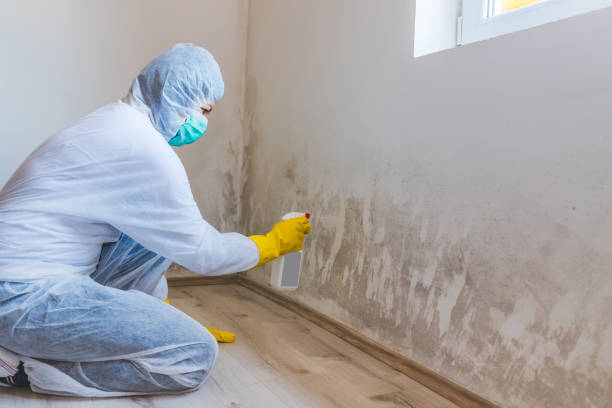 Best Attic Mold Removal  in Mcclure, PA