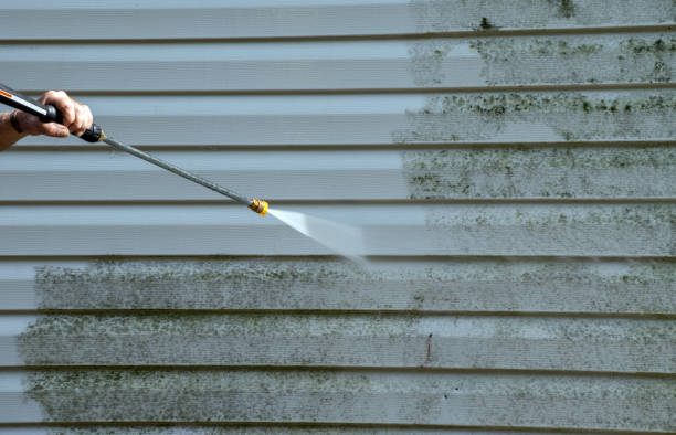Best Water Damage Restoration  in Mcclure, PA