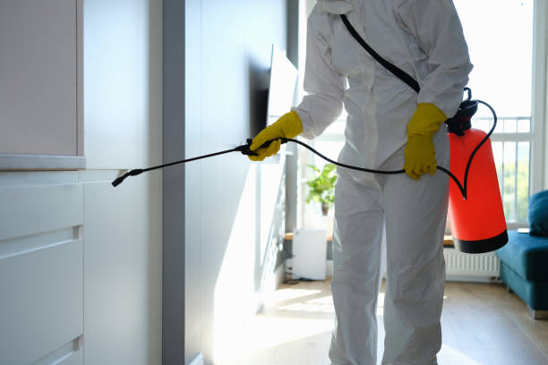 Best Mold Testing  in Mcclure, PA