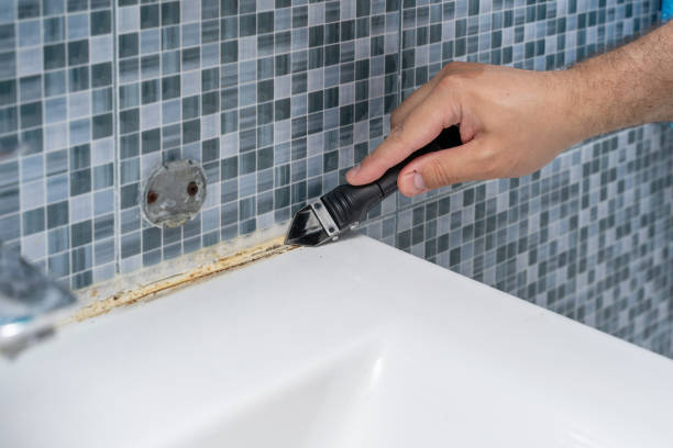 Best Best Mold Removal Companies  in Mcclure, PA