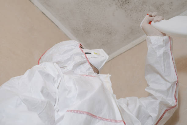 Best Water Damage Restoration  in Mcclure, PA