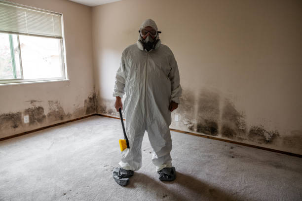 Best Toxic Mold Removal  in Mcclure, PA